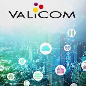 Nancy Peckham, Founder and President, Valicom Corporation